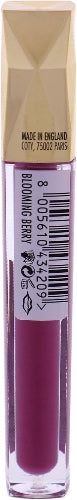 Packaging detail of Max Factor Honey Lacquer Lip Gloss Blooming Berry shade